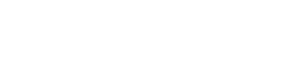 Fesheni Africa
